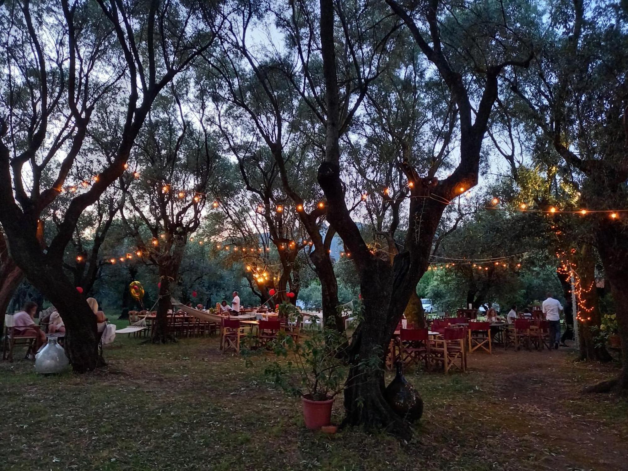 Country house Antico Uliveto *