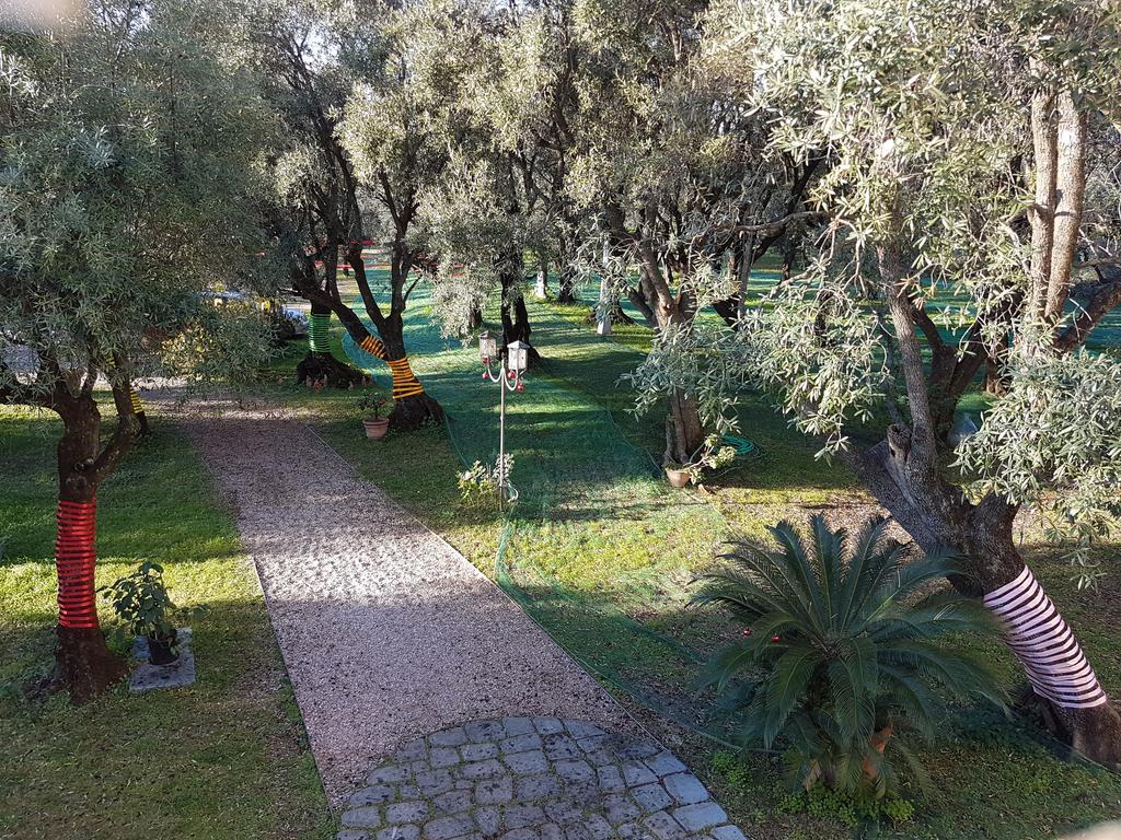 Landhuis Antico Uliveto