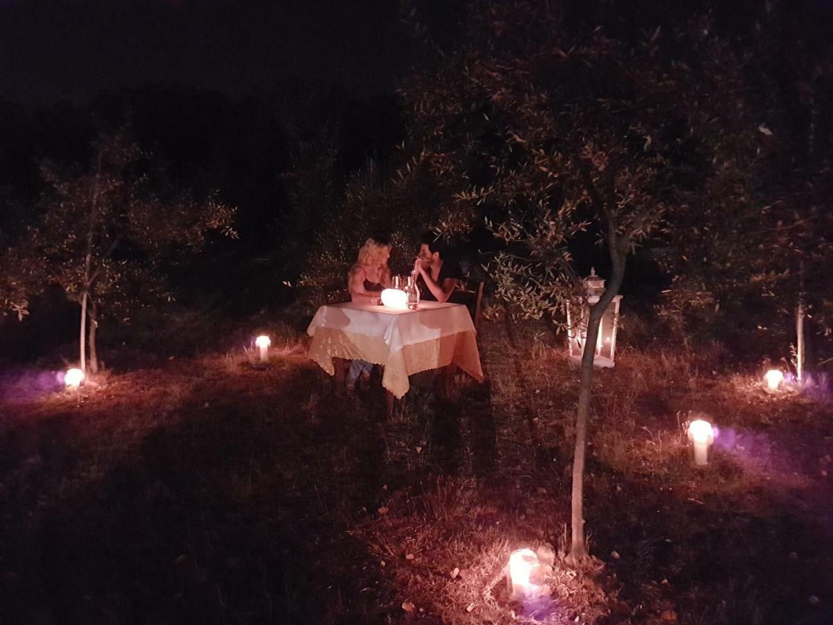 Antico Uliveto *