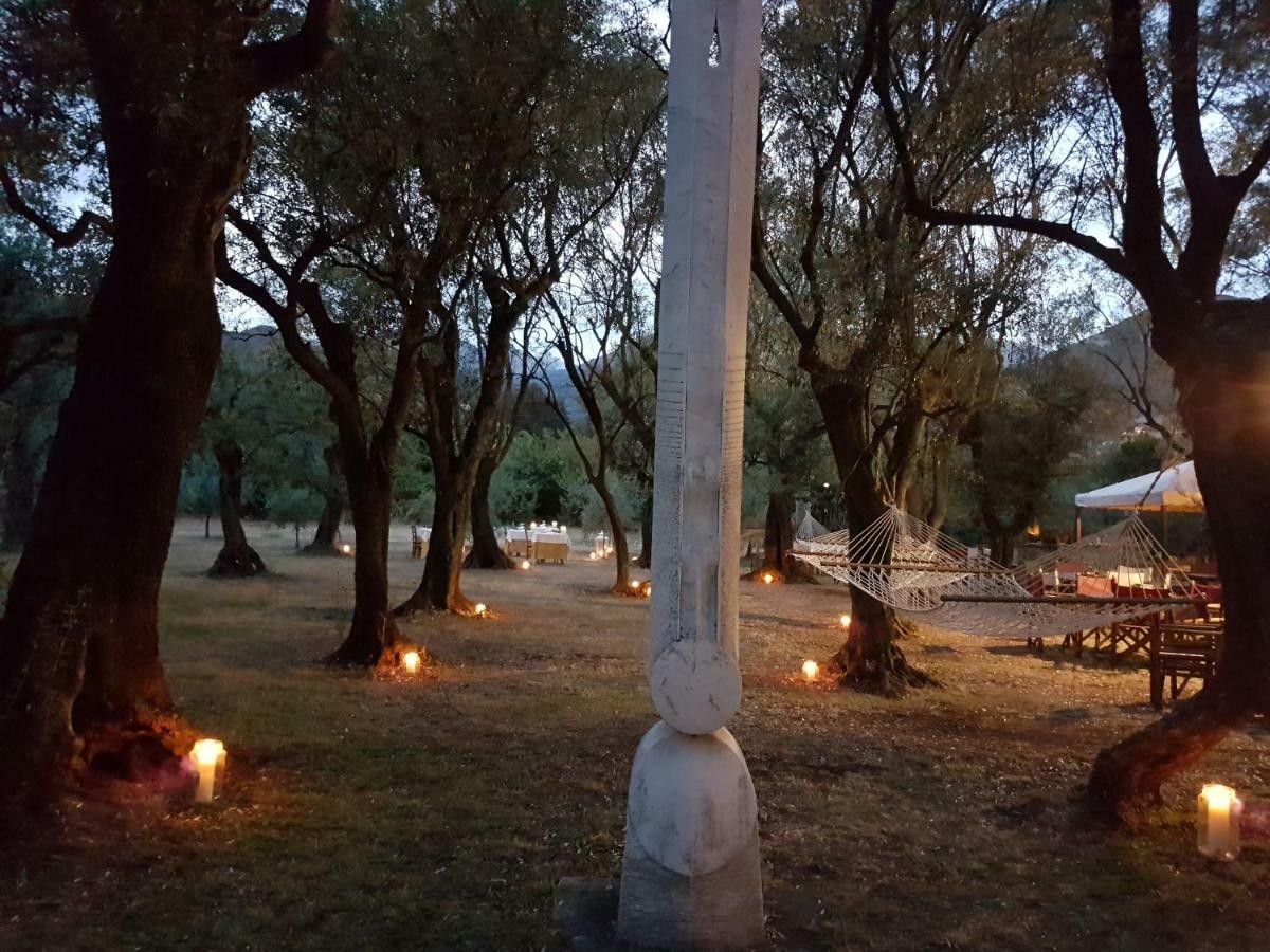 Antico Uliveto Landhuis Seravezza