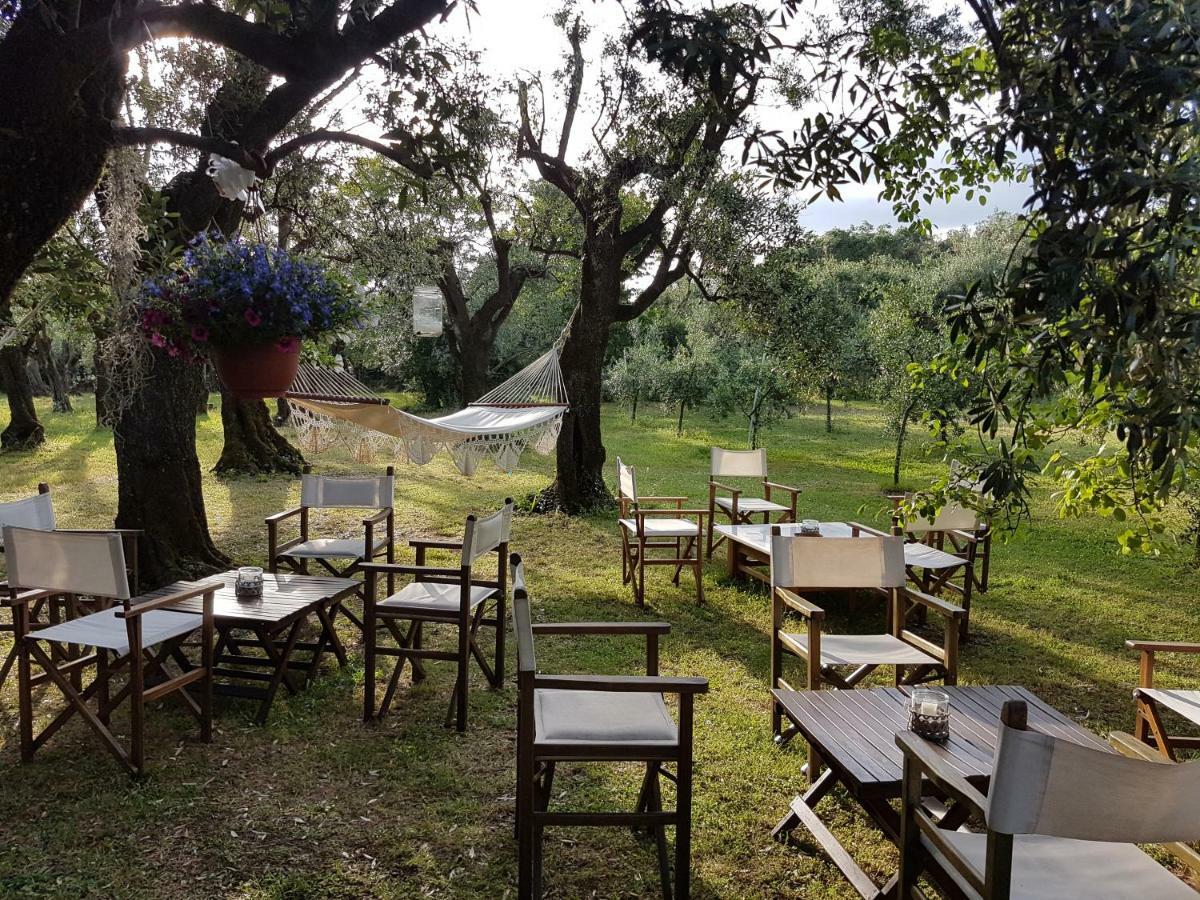 Antico Uliveto Landhuis *