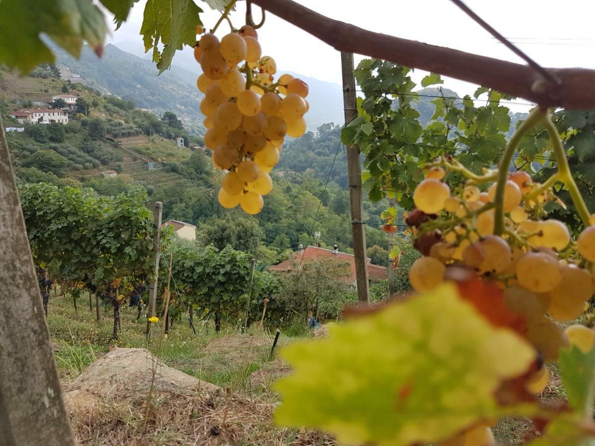 Antico Uliveto Landhuis *
